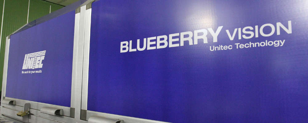 Blueberry Vision от Unitec: это «революция в черничной индустрии»